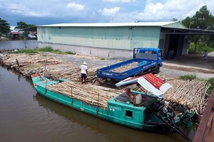 Trưởng phòng thanh tra PCTN Cà Mau bị bắt