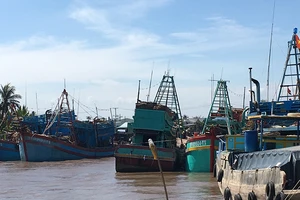 Bến Tre, Tiền Giang khẩn trương ứng phó bão Tembin