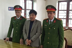 Bắt tạm giam giám đốc doanh nghiệp phá 41 ha rừng