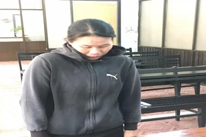 Cựu chuyên viên Liên đoàn Lao động tỉnh lãnh 12 năm tù