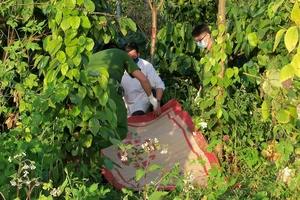 1 phụ nữ mang thai chết trong tư thế treo cổ