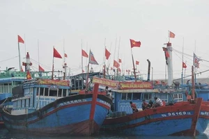 Đầu xuân, ngư dân nô nức mở biển