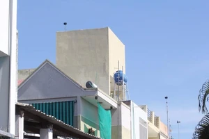 Hi hữu: Dùng tiếng chim lạ để ‘đấu’ tiếng chim yến 