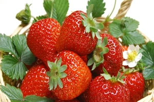 Công bố 11 loại rau quả nhiều thuốc trừ sâu nhất năm 2018