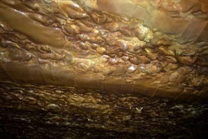 Phát hiện 1 hang động kỳ lạ giữa rừng ở Quảng Ninh