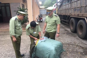 14 tấn quần áo ngoại nhập lớn nhất từ trước đến nay ở Đắk Lắk 