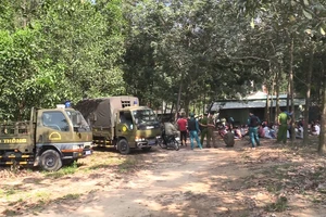 Bắt giữ 75 người tại trường gà ở Bình Dương