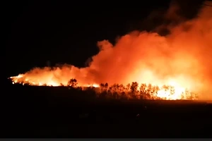 Đám cháy âm ỉ khó dập ở Bà Rịa-Vũng Tàu