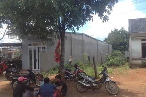 Điều tra một người phụ nữ chết bất thường lúc rạng sáng