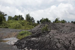  Lãnh đạo công ty đổ thải chưa tới làm việc