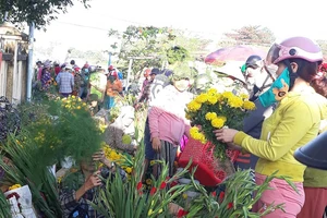 Thời tiết dịp Tết Canh Tý: Nơi giá rét, chỗ nắng chói chang 