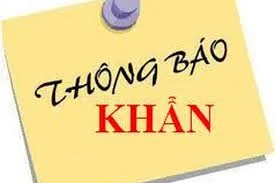 Người dự tiệc cưới Adora Nguyễn Kiệm ngày 30-1 liên hệ y tế 