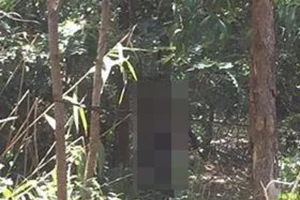 Chánh án tòa huyện chết trên rẫy do nghi uống thuốc bảo vệ thực vật tự tử 