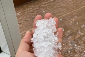 TP Đà Lạt xuất hiện mưa đá, nhiều hoa màu bị hư hại