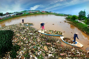 Ảnh dự thi “Vì môi trường xanh” (Phần 3)