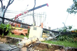 Đề nghị tạm ngưng công trình tháp đôi tại 'khu đất vàng' Sài Gòn