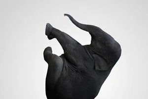 Khiêm nhường để thành công