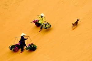 Ảnh dự thi “Vì môi trường xanh” (Phần 4) 