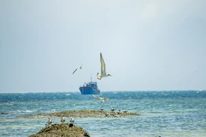 Cù Lao Câu hút hồn du khách (Phần 2)