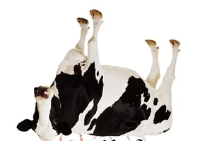 Chạy đua nguồn nguyên liệu