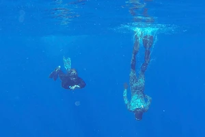 Tín hiệu ở nam Ấn Độ Dương là của hộp đen máy bay