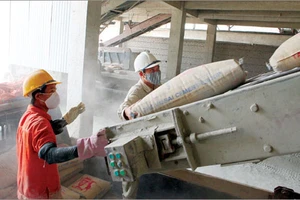 Nguy cơ thiếu xi măng đang hiện rõ
