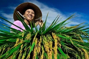 Ngộ ra với tín dụng nông nghiệp nông thôn…