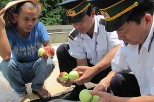 Hoa quả Trung Quốc không nhập vào Lạng Sơn