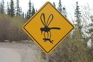 Những biển báo có một không hai trên cung đường Alaska