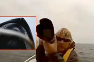 Cá voi xanh khổng lồ bất ngờ đội cả thuyền nhô lên mặt nước