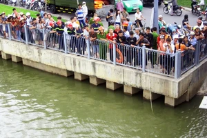 Bất lực nhìn cụ bà gieo mình xuống cầu Công Lý tự vẫn