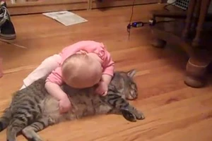 Đáng yêu nhìn động vật giả vờ chết