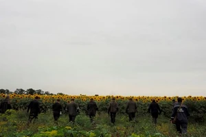 Bắt đầu công tác nhận dạng nạn nhân vụ rơi máy bay MH17