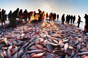 Trung Quốc thúc đẩy ngư dân ra vùng tranh chấp