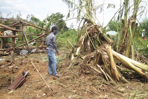 Cưa bom, hai người tử nạn