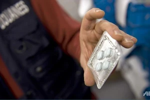 Châu Âu “càn quét” Viagra giả