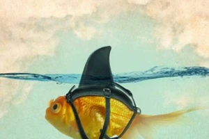 Ảnh vui trong tuần