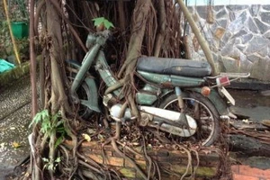 Ảnh vui trong ngày