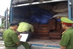 Bắt xe tải vận chuyển gỗ lậu