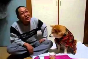 Cún ngăn chủ không được uống rượu