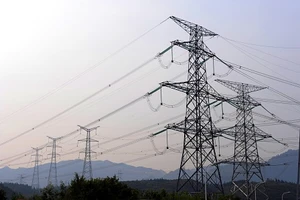 Đốt thực bì, đường dây 500kV gặp sự cố