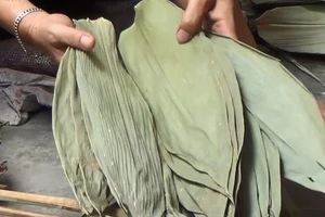 Chuyện lạ: Cả làng đổi đời nhờ nghề... nhặt lá tre