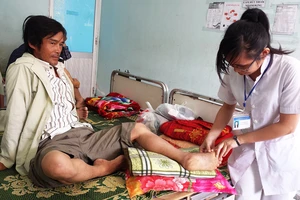 Hoang mang vì nhiều người bị rắn lục đuôi đỏ cắn