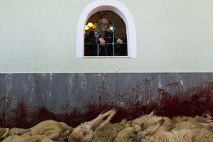 Những bức ảnh báo chí đẹp của năm 2014 (Phần 2) 