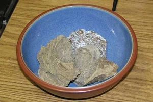 Chất nôn cá voi là... thuốc kích dục cực mạnh