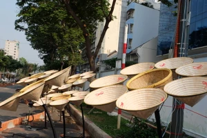 Đường hoa Hàm Nghi trước giờ khai mạc