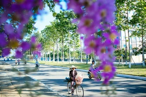 Chùm ảnh TP Tam Kỳ 'đẹp ngất ngây'