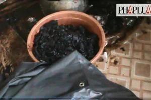 Cận cảnh sản xuất khô bò từ phổi thối