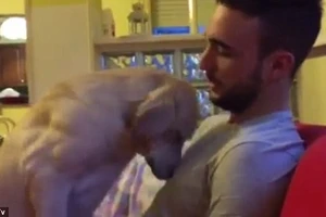 Xem chú chó nũng nịu khi bị chủ mắng