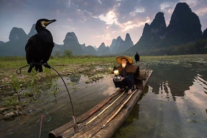 Những bức ảnh đẹp nhất năm 2015